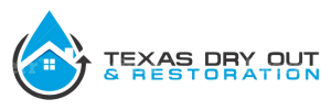 Texas Dry Out and Rehabilitation Logo