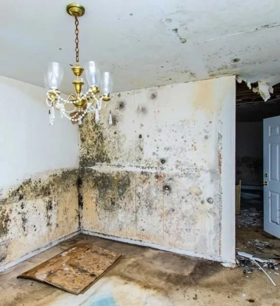 Water Damage in your home
