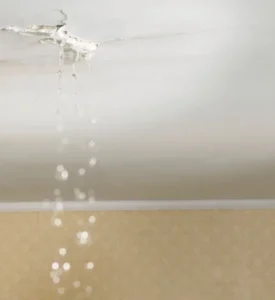 Water leaking from ceiling in Austin Texas