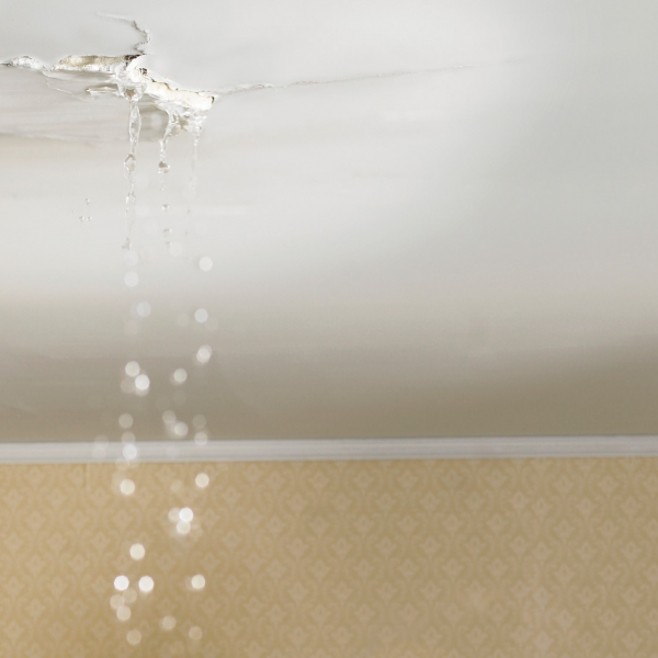 water-leaks water-leaks
